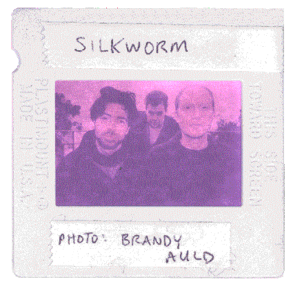 The Silkworm Interview